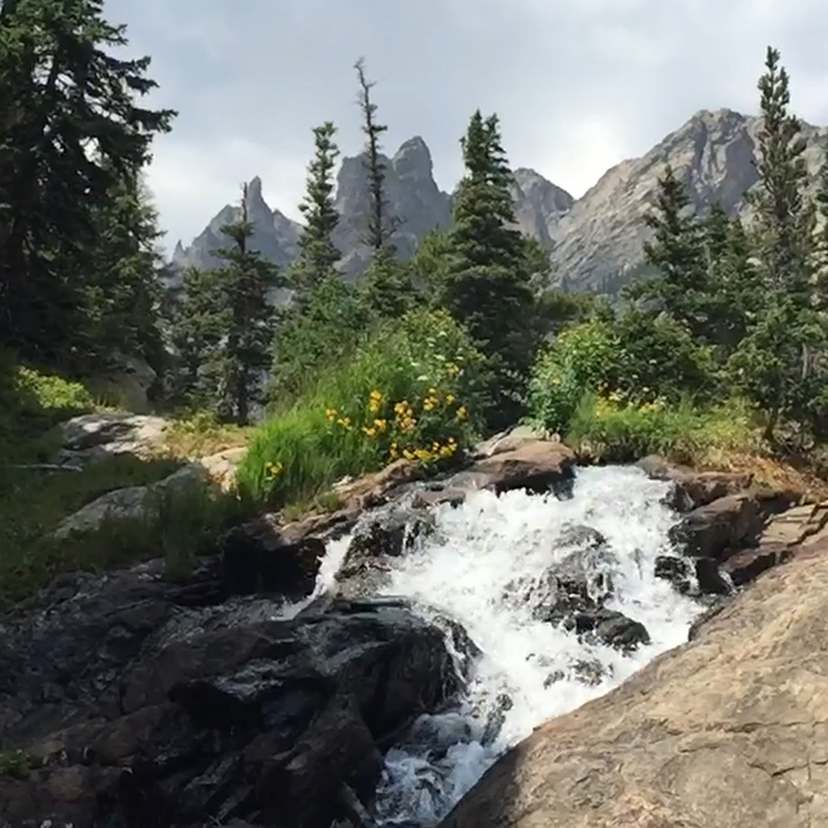 Alpine Runoff
