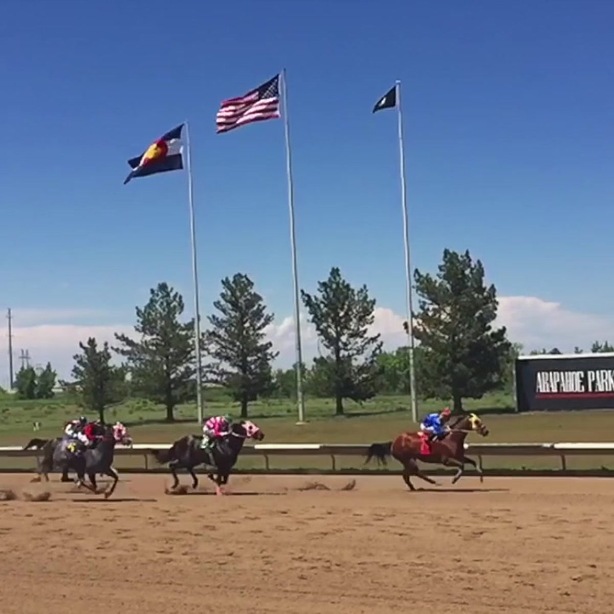 Horse Race