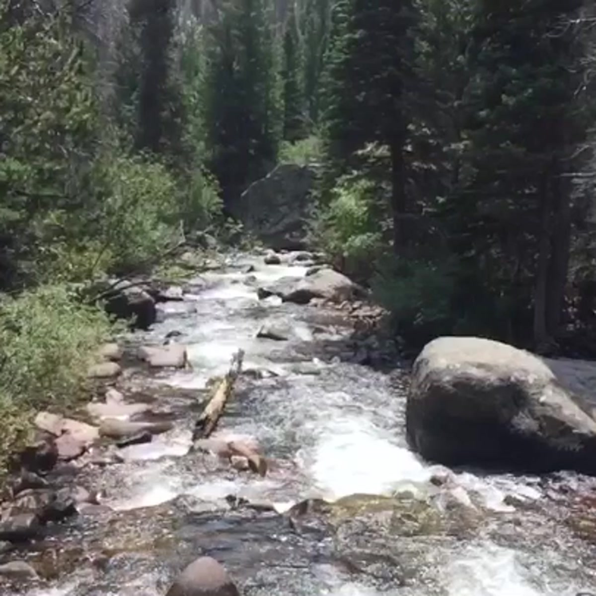 The River