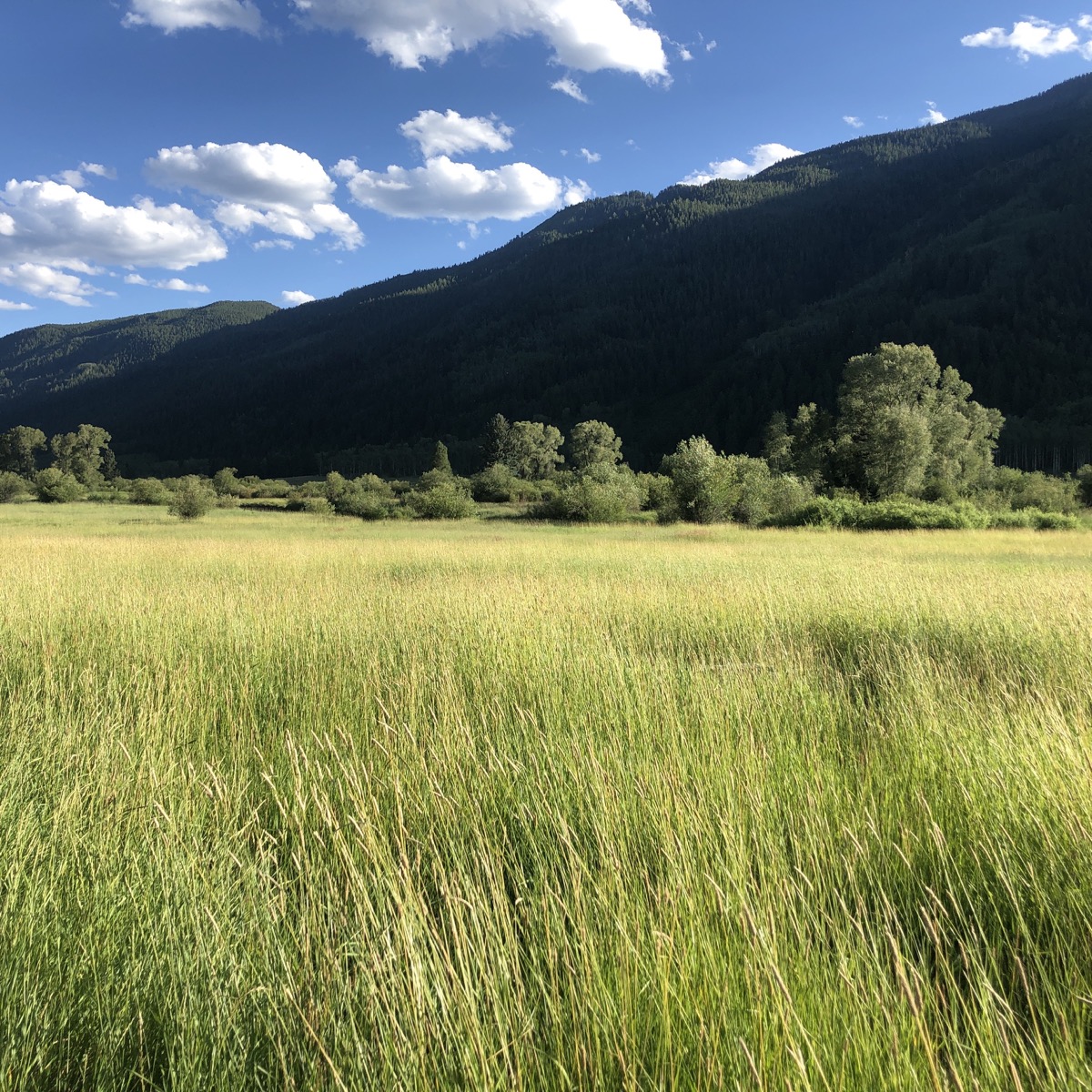 North Star Preserve