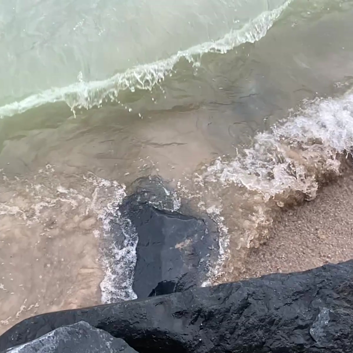 Coastline
