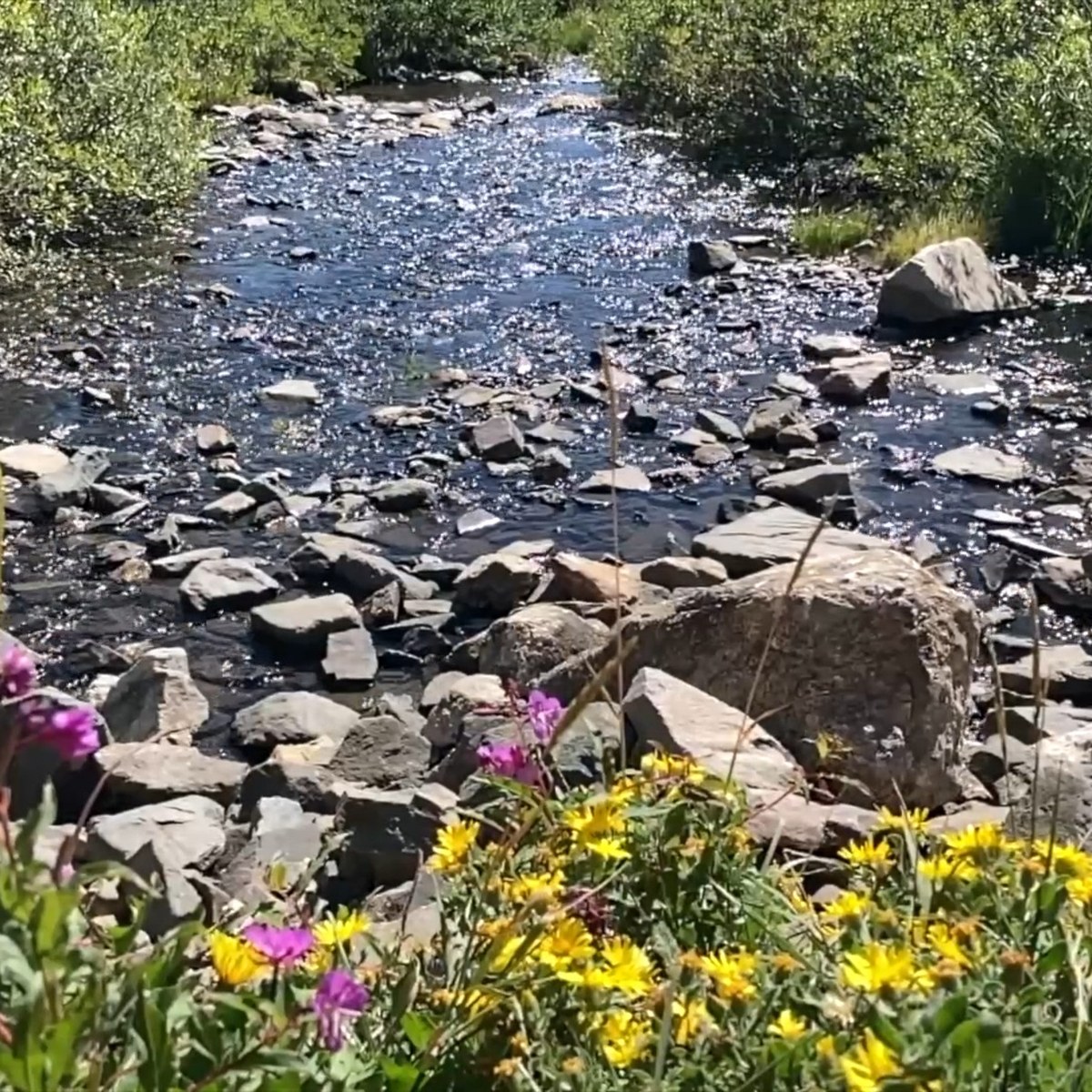 Springtime Colorado