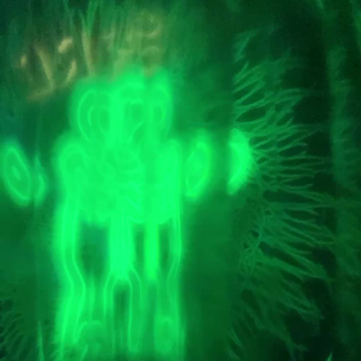 Plasma Disco