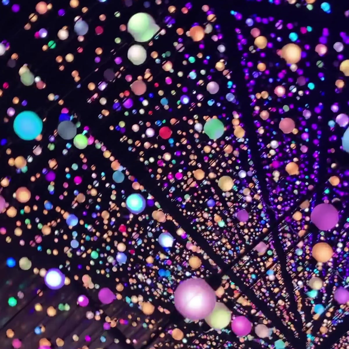 Light Garden