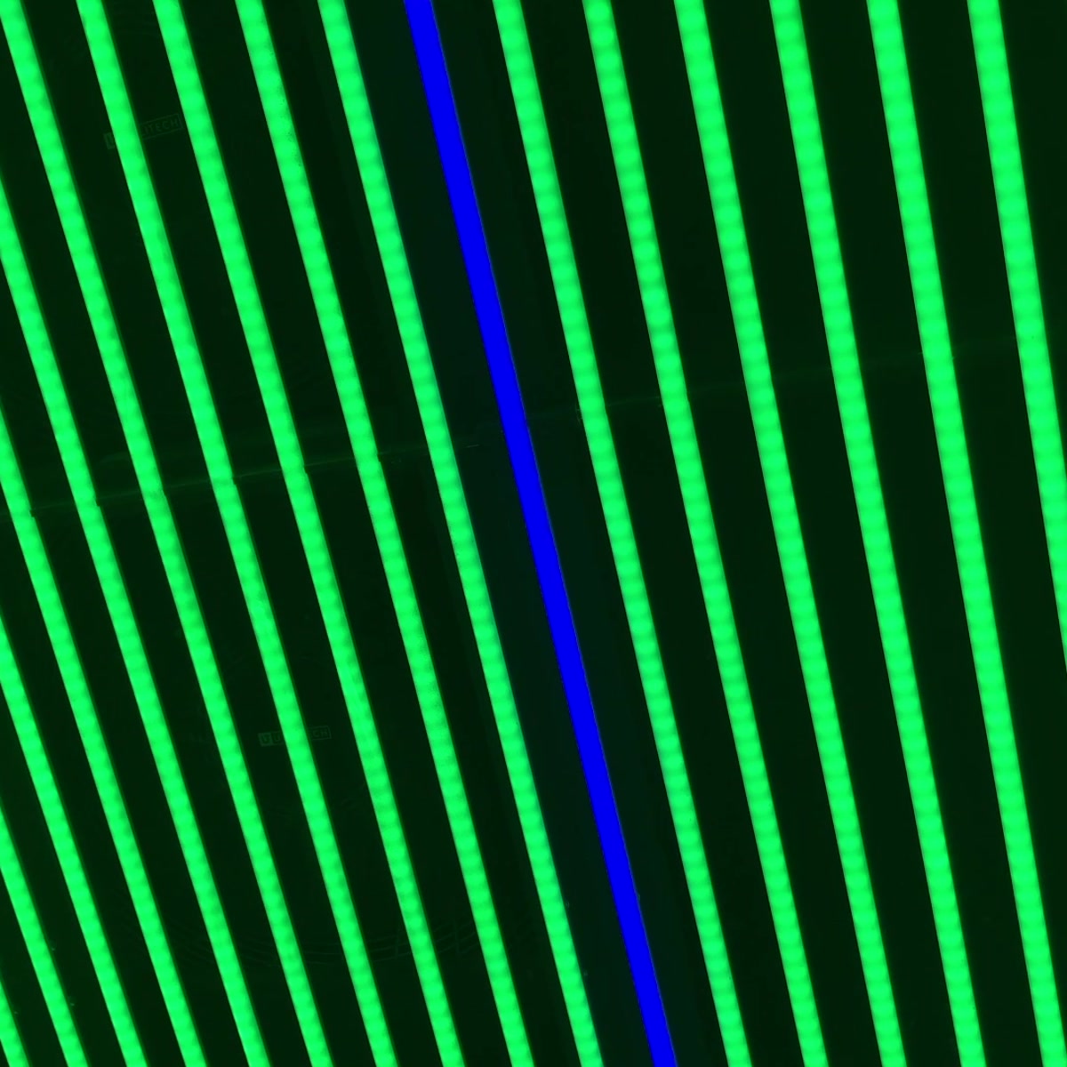 NEON