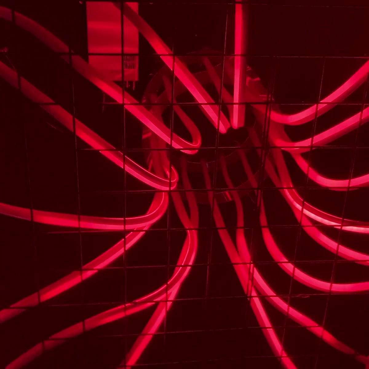 Red Bloom