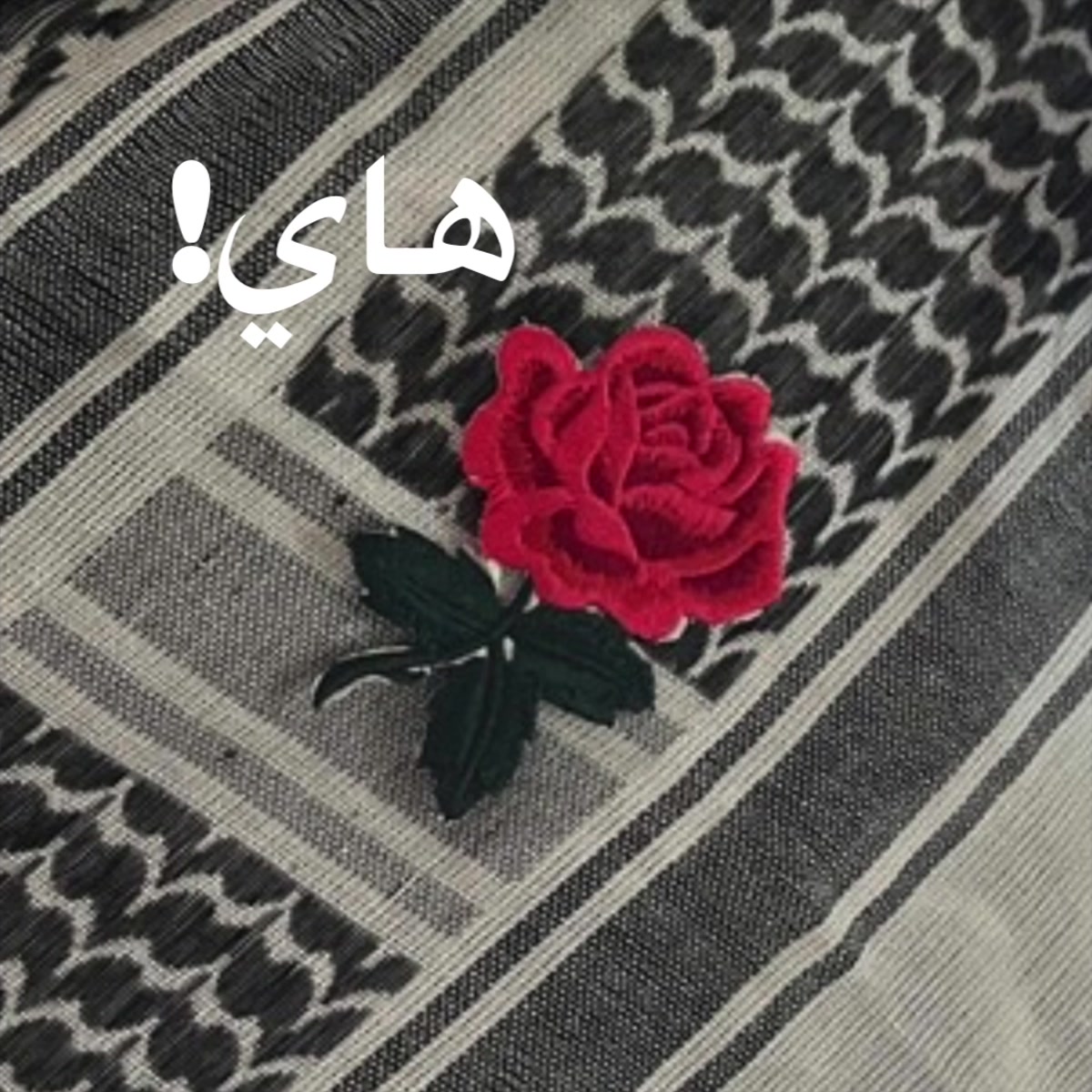HABIBI ROSE