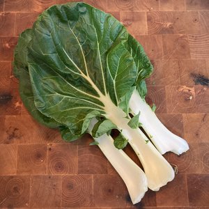 Big Ass Salad