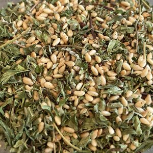 Spice Blends